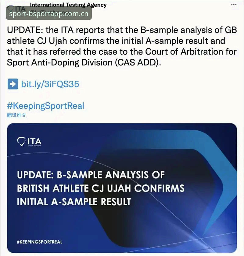 BsportApp官网入口 vs 第三方平台：哪个更适合新手入门？详细对比与实用指南